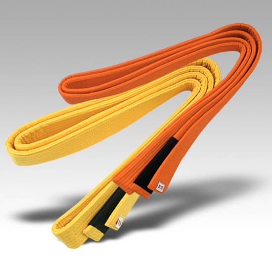 BJJ Color with Black 4 Sleeve