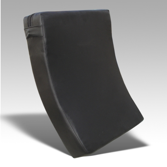 Curved Body Kick Shield