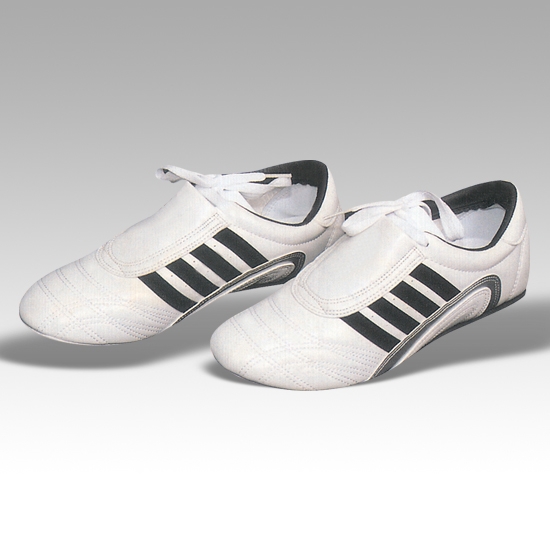 Tae Kwon Do Shoes